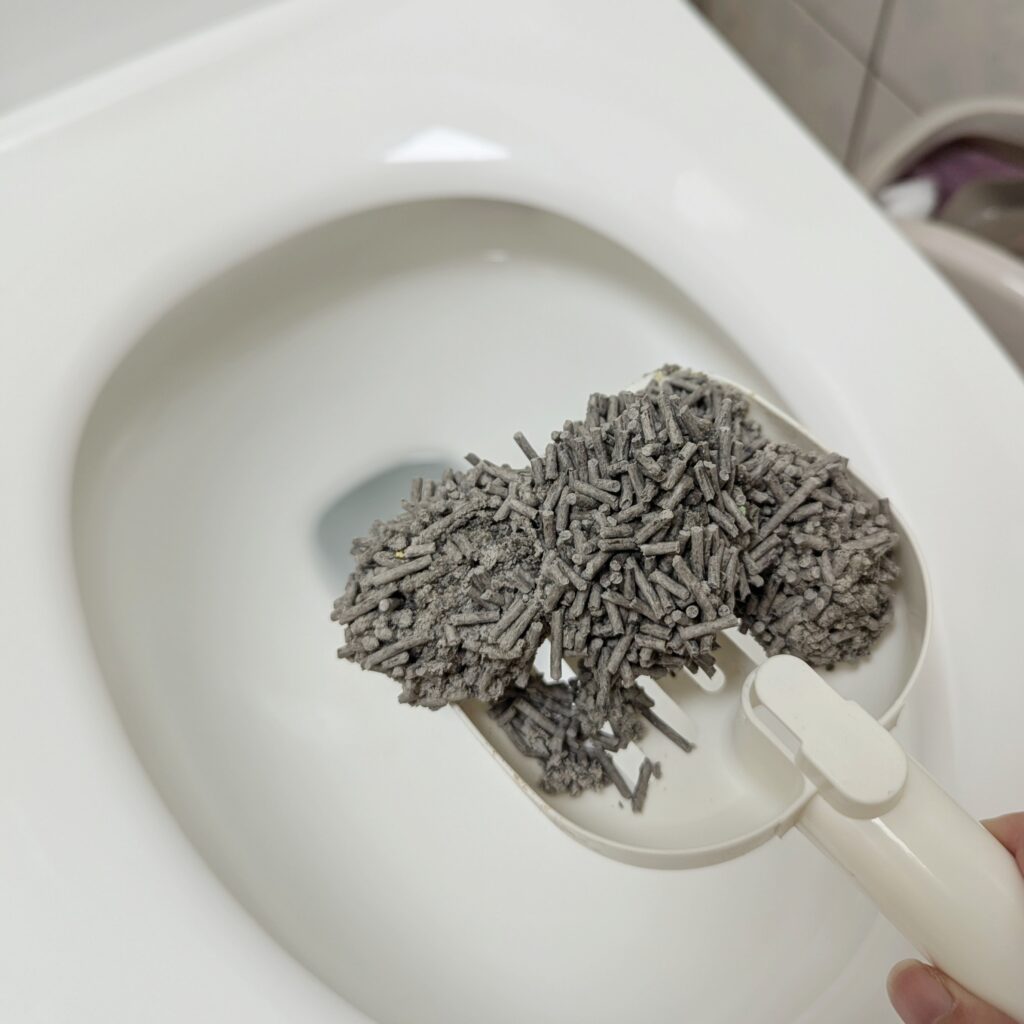 貓咪豆腐砂開箱｜尊寵消臭豆腐砂｜竹炭消臭豆腐砂心得，奶香除臭佳、凝結力強、可沖馬桶，貓咪接受度高