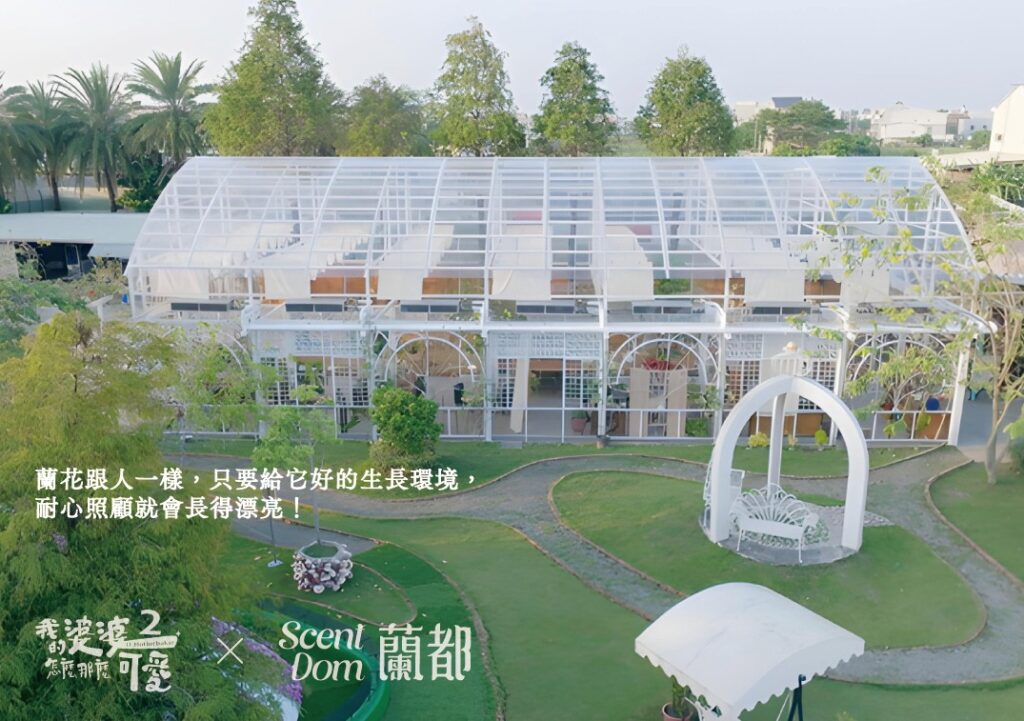 蘭都ScentDom｜MIT 蘭花萃取保養品第一品牌，聯名我的婆婆怎那麼可愛2 聯名禮盒「綻蘭耀顏」，台灣蘭花來研發的天然保養品-AG吃貨