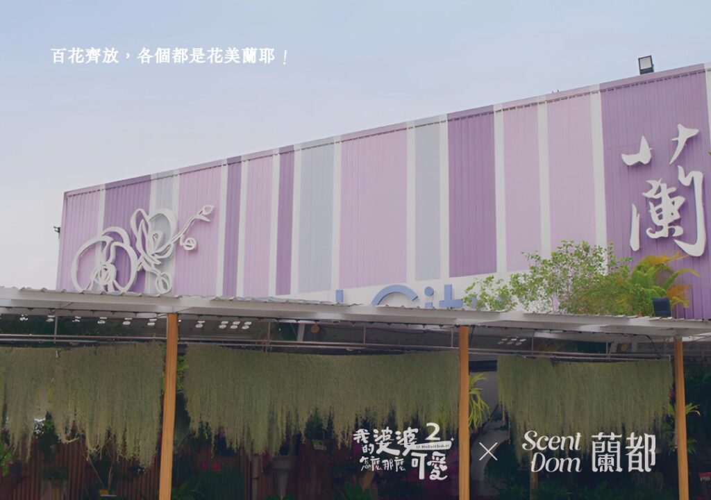 蘭都ScentDom｜MIT 蘭花萃取保養品第一品牌，聯名我的婆婆怎那麼可愛2 聯名禮盒「綻蘭耀顏」，台灣蘭花來研發的天然保養品