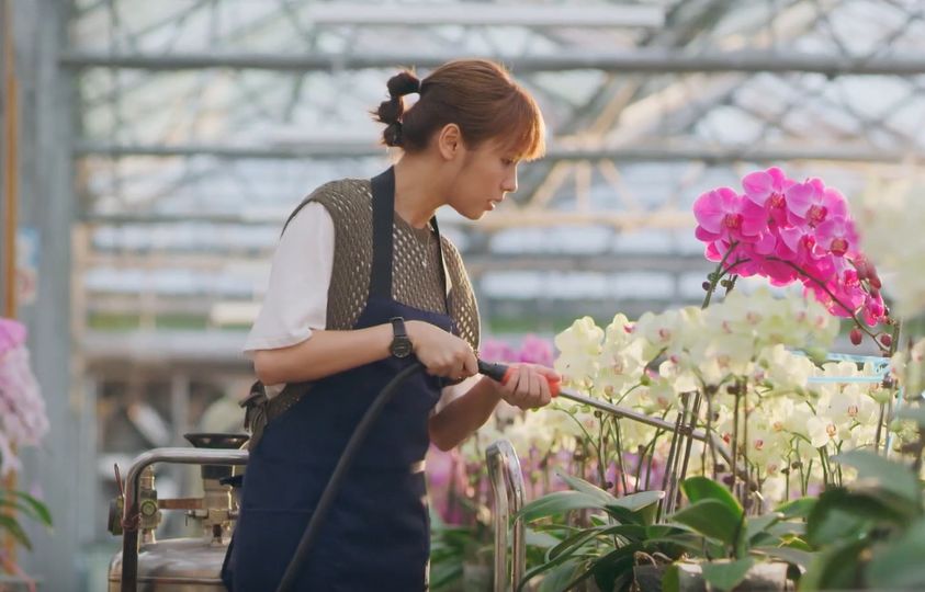 蘭都ScentDom｜MIT 蘭花萃取保養品第一品牌，聯名我的婆婆怎那麼可愛2 聯名禮盒「綻蘭耀顏」，台灣蘭花來研發的天然保養品