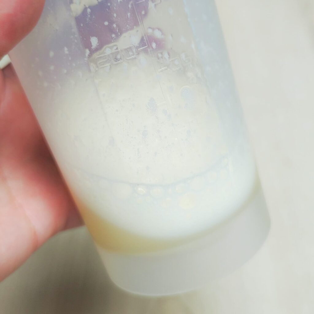 100%有機蜂蜜開箱｜ILIFASHOP｜ILIFA非洲野生生蜂蜜，南非珍花蜂蜜，濃郁香甜，健康、益處多多又好吃-AG吃貨