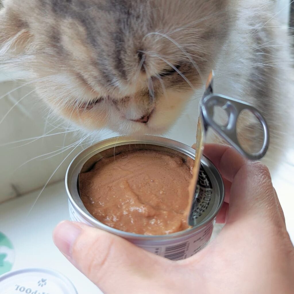 貓咪主食罐｜Catpool 貓侍 x花花動物醫院｜每日均衡主食罐 - 烏骨雞 泥狀主食罐分享-AG吃貨