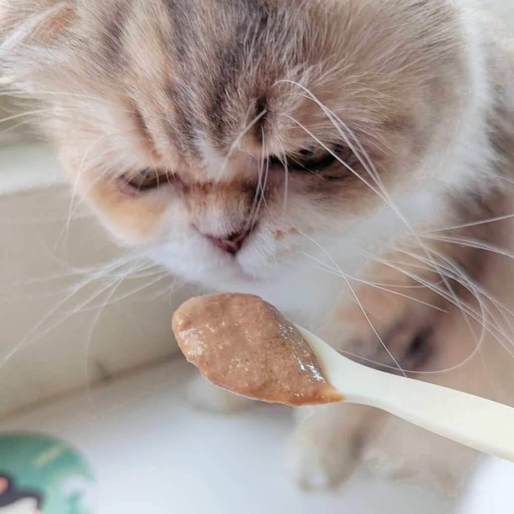 貓咪主食罐｜Catpool 貓侍 x花花動物醫院｜每日均衡主食罐 - 烏骨雞 泥狀主食罐分享-AG吃貨