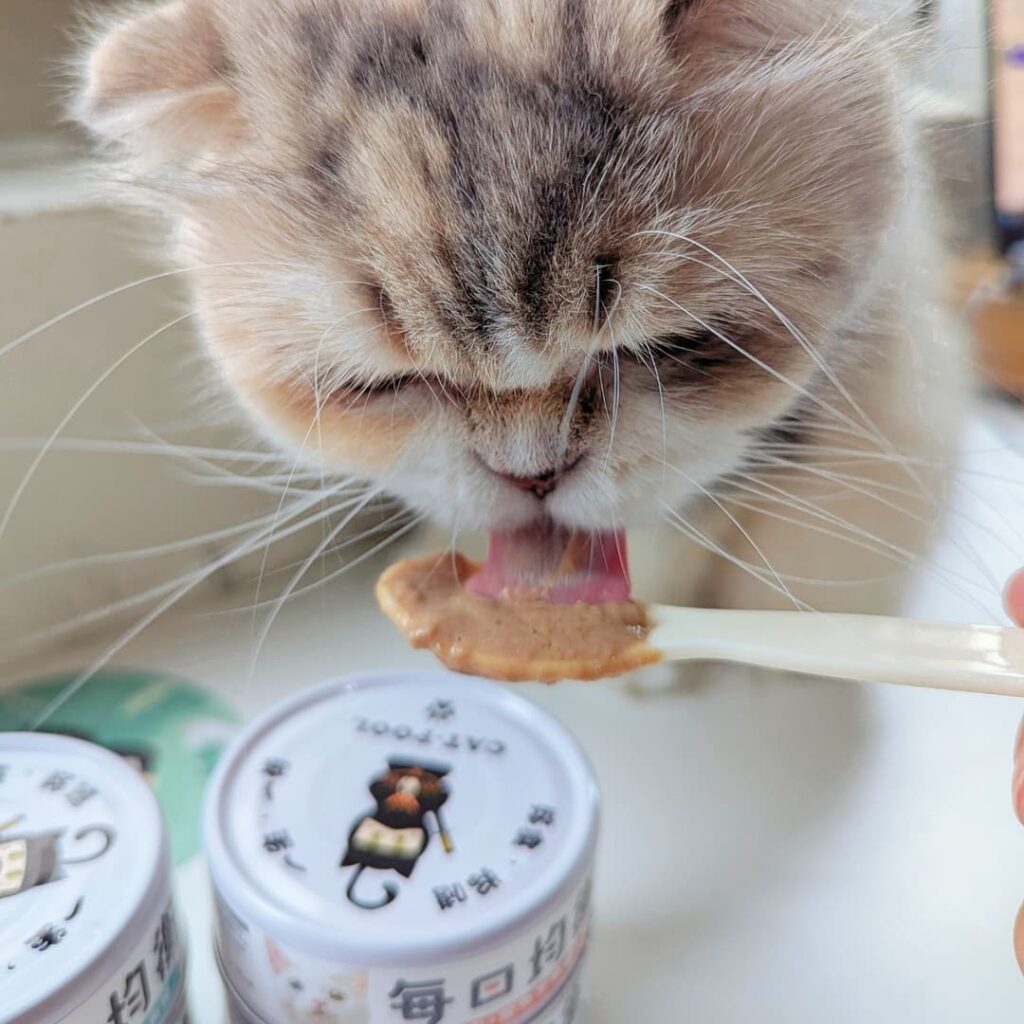 貓咪主食罐｜Catpool 貓侍 x花花動物醫院｜每日均衡主食罐 - 烏骨雞 泥狀主食罐分享-AG吃貨