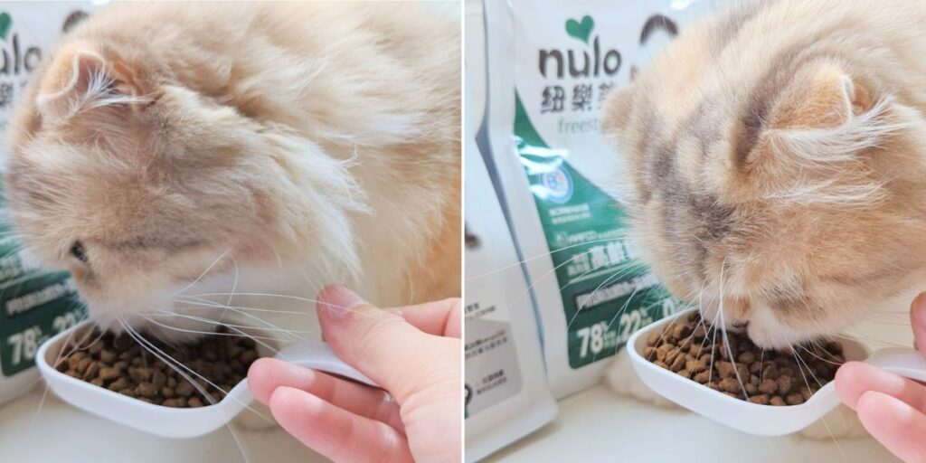 2024寵物開箱｜品果國際｜美國NULO紐樂芙 貓飼料 - 高肉量、低碳水、適口性佳的貓咪無穀主食飼料-AG吃貨
