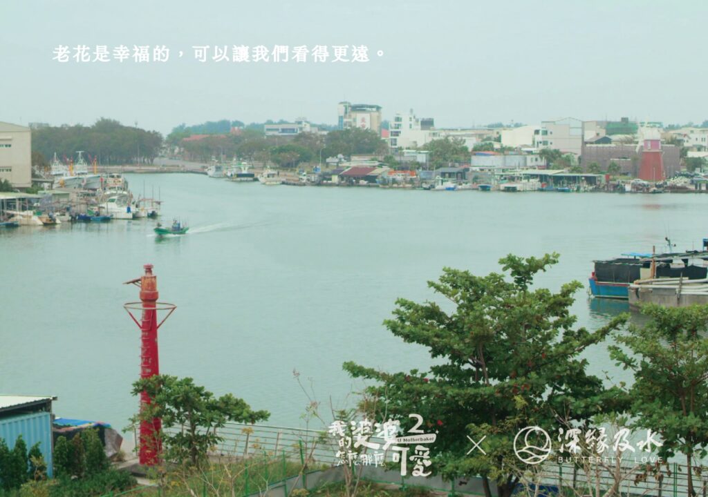 送禮推薦｜深緣及水｜我的婆婆怎麼那麼可愛2 聯名禮盒，闔家團圓一起追劇吃甜甜（鳳梨酥、紅豆餅、柚子酥)－AG吃貨