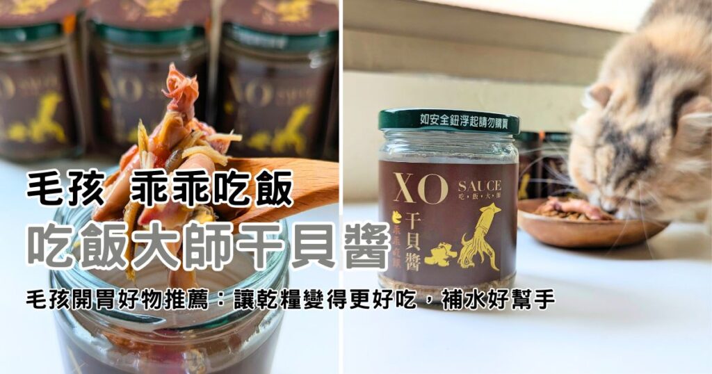 貓咪美食｜乖乖吃飯｜寵物挑食怎麼辦？試試看吃飯大師干貝醬，讓貓咪大口吃飯、大口喝水的秘密法寶-AG吃貨