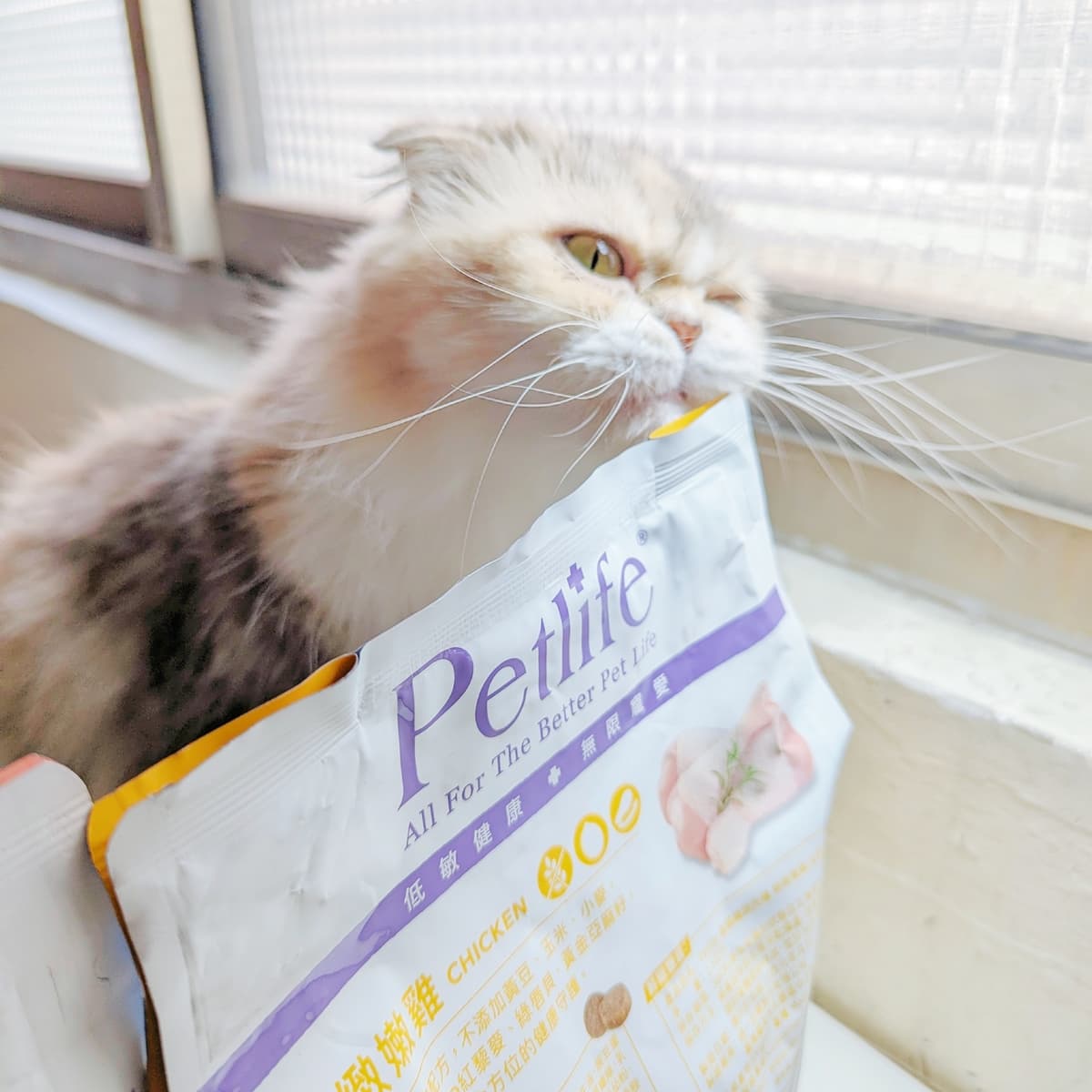 2024貓飼料｜Petlife評價｜挑食貓新選擇MIT主食貓糧：晶饌纖蔬肉糧｜蔬菜凍乾、低敏優穀、益生菌、適口性佳｜AG吃貨