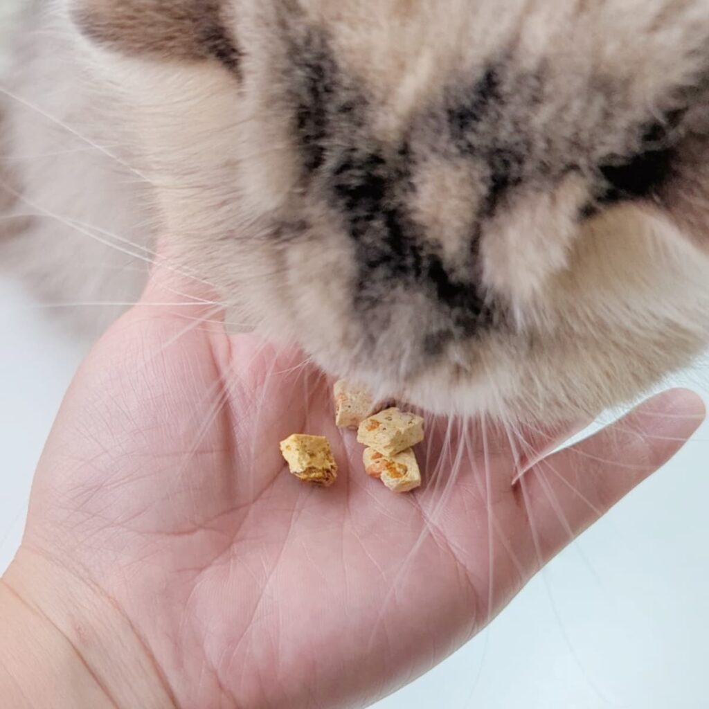 2024貓飼料｜Petlife評價｜挑食貓新選擇MIT主食貓糧：晶饌纖蔬肉糧｜蔬菜凍乾、低敏優穀、益生菌、適口性佳｜AG吃貨