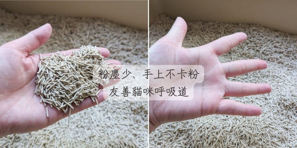 穀物貓砂推薦｜穀魔力｜天然穀物貓砂 ，鏟屎官的懶人貓砂，超人級除臭、超強凝結力-AG吃貨