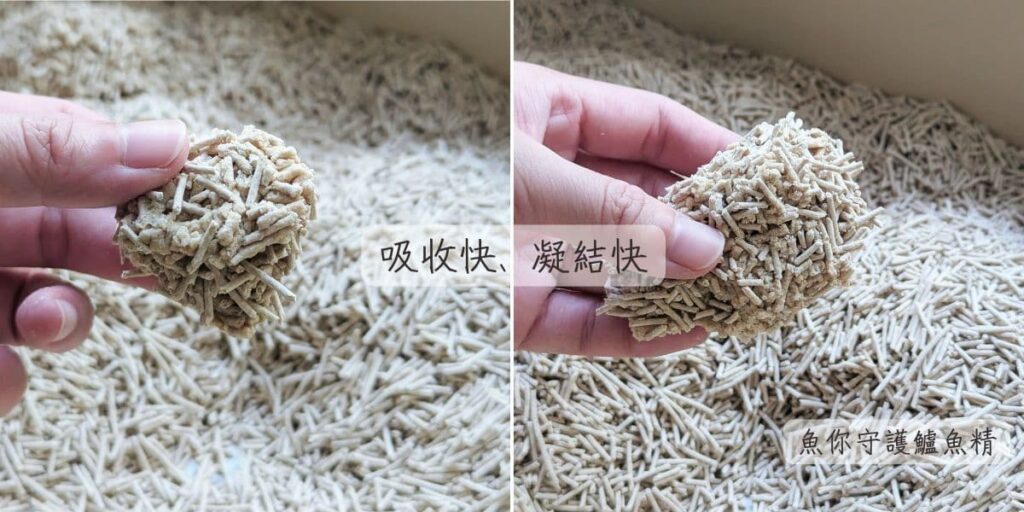 穀物貓砂推薦｜穀魔力｜天然穀物貓砂 ，鏟屎官的懶人貓砂，超人級除臭、超強凝結力-AG吃貨