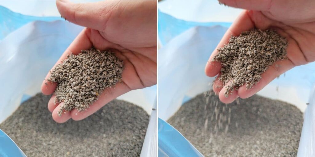美國動物醫院指定使用｜BOXIECAT博識貓｜Air超植砂，專利凝結生物砂、黑益生菌Plus專利凝結生物砂，更輕、更耐、更省量-AG吃貨