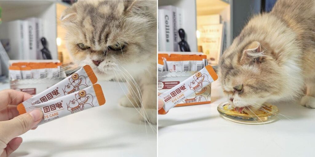 寵物有神保健品開箱｜Abao阿寶｜眼睛保健胜肽固目啾，擺脫淚痕、淚溝，貓咪水亮有神更可愛-AG吃貨