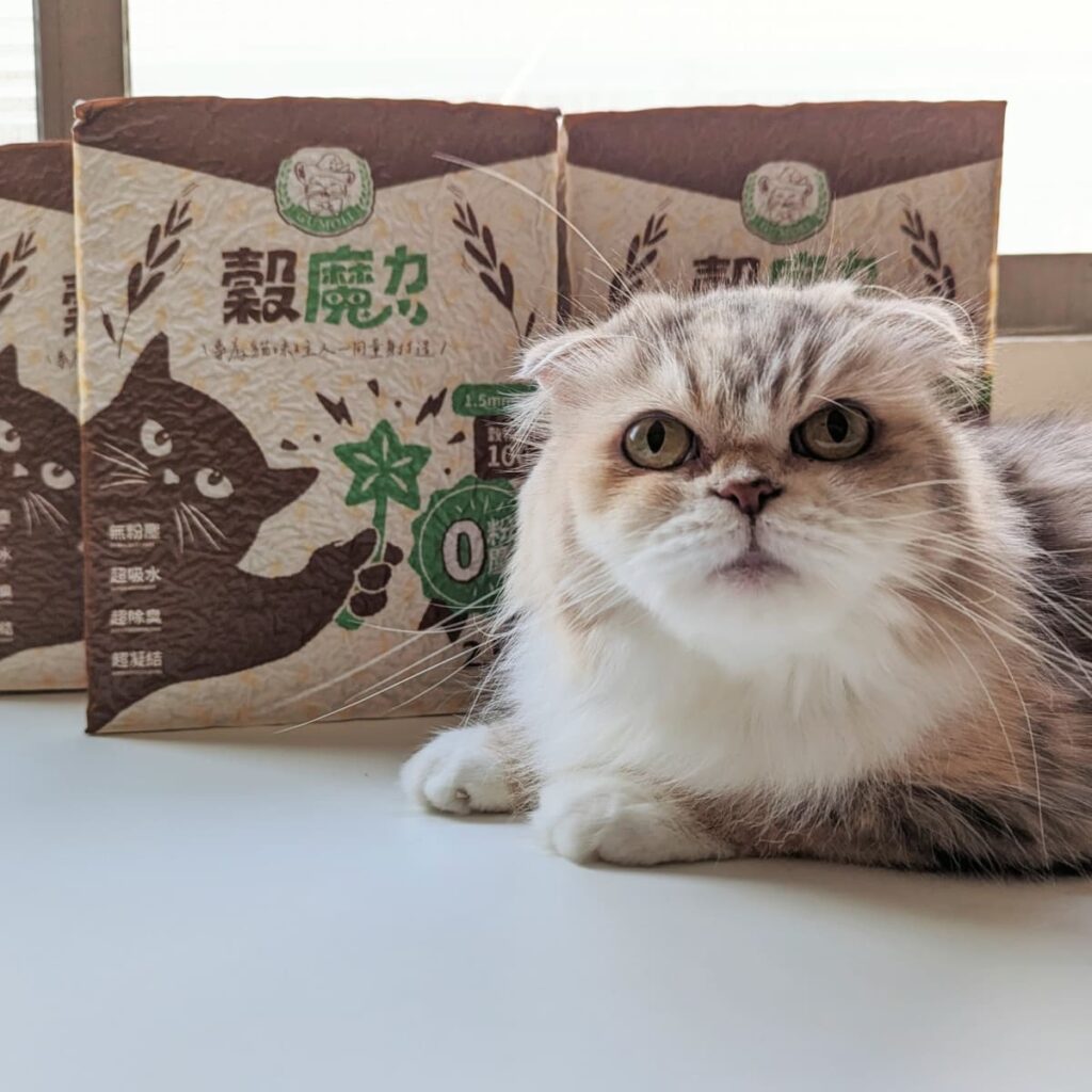 穀物貓砂推薦｜穀魔力｜天然穀物貓砂 ，鏟屎官的懶人貓砂，超人級除臭、超強凝結力-AG吃貨