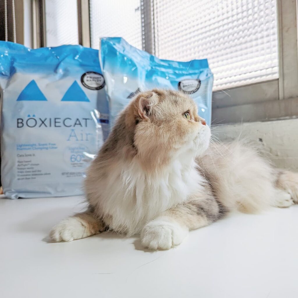 美國動物醫院指定使用｜BOXIECAT博識貓｜Air超植砂，臭藍專利凝結生物砂、黑益生菌Plus專利凝結生物砂，更輕、更耐、更省量-AG吃貨