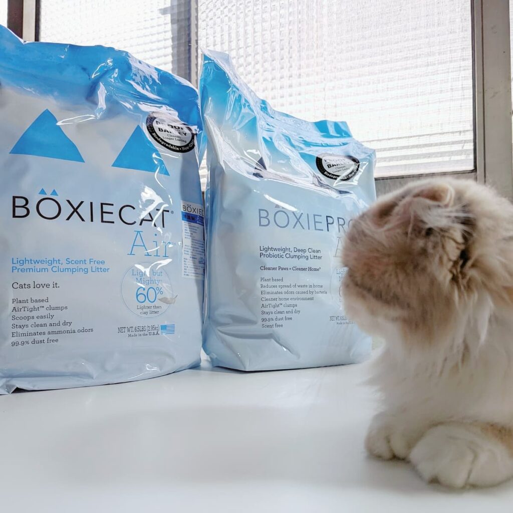 美國動物醫院指定使用｜BOXIECAT博識貓｜Air超植砂，專利凝結生物砂、黑益生菌Plus專利凝結生物砂，更輕、更耐、更省量-AG吃貨