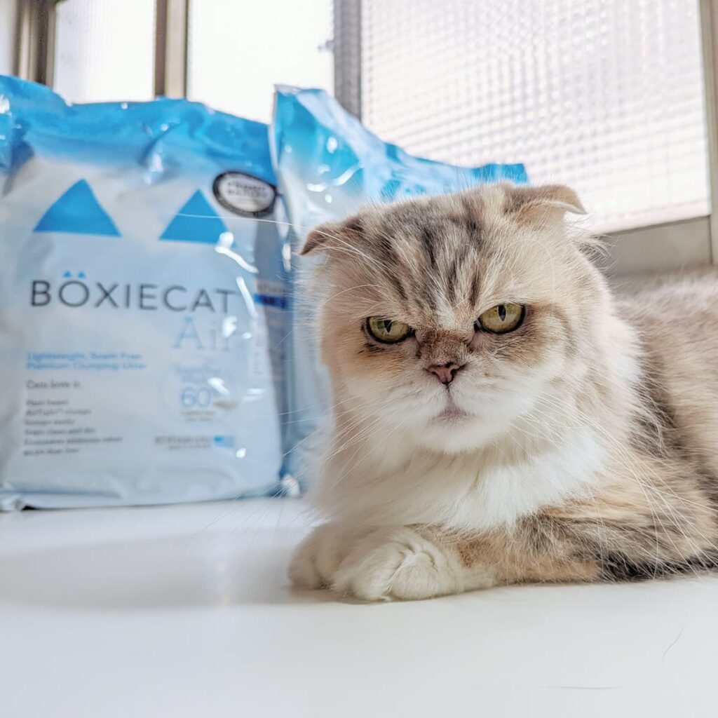 美國動物醫院指定使用｜BOXIECAT博識貓｜Air超植砂，專利凝結生物砂、黑益生菌Plus專利凝結生物砂，更輕、更耐、更省量-AG吃貨