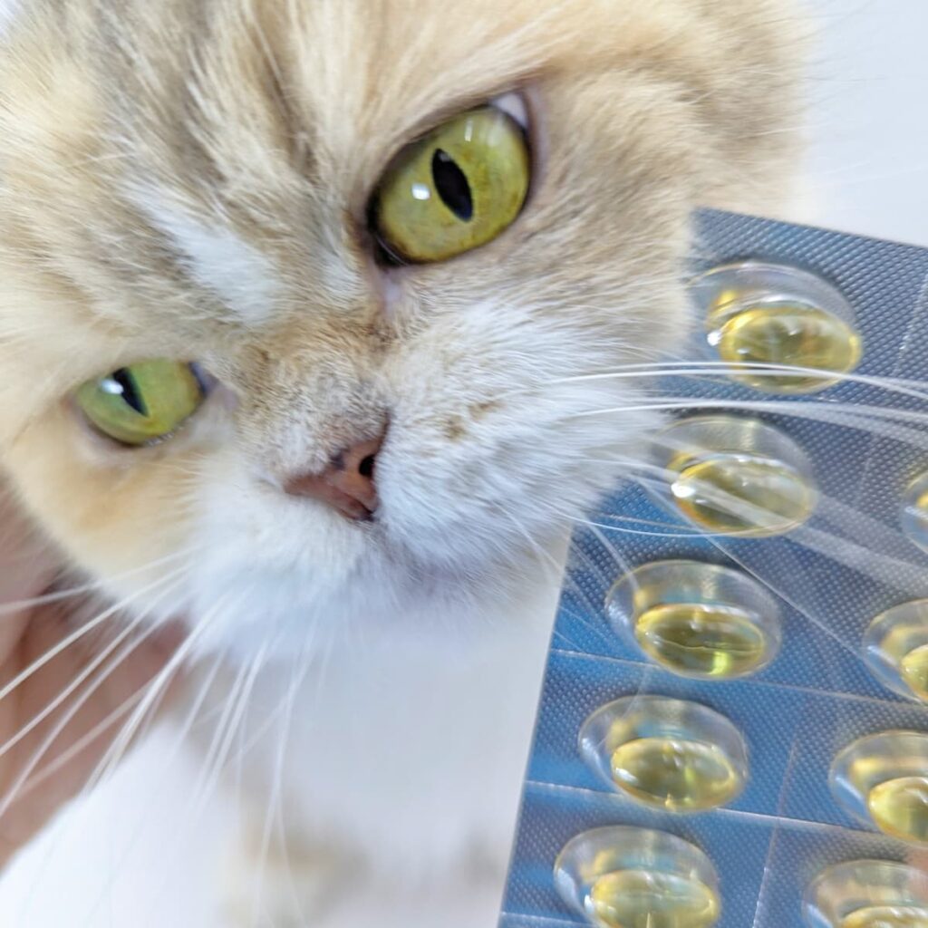 寵物魚油推薦｜寵物防護盾｜ 95.1%頂級高濃度魚油，超過100項專利，吸收率更佳，日日呵護毛孩寶貝-AG吃貨