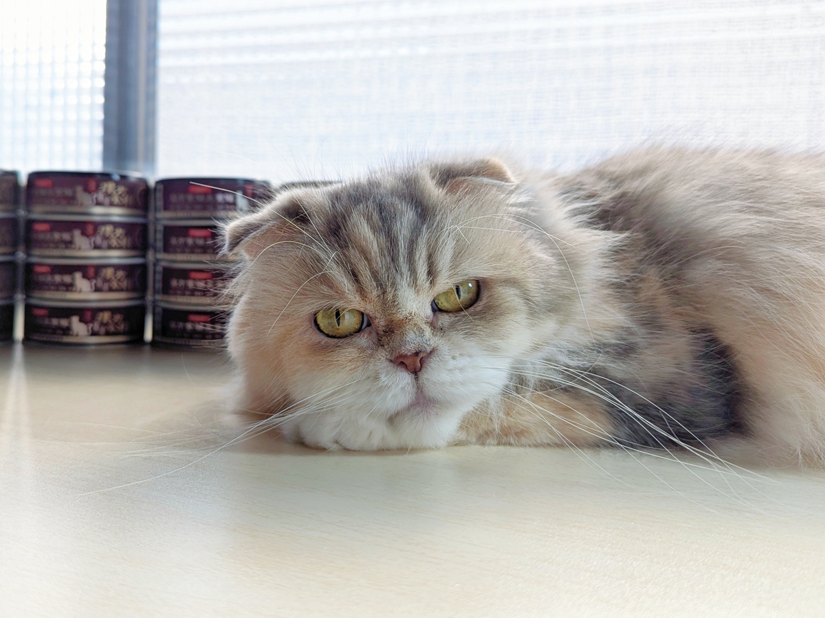 關健時刻&漢方食補、漢方食補主食罐、成貓主食罐心得、心血管養護、護眼養生、元氣養護、關節養生、皮毛養護-AG吃貨