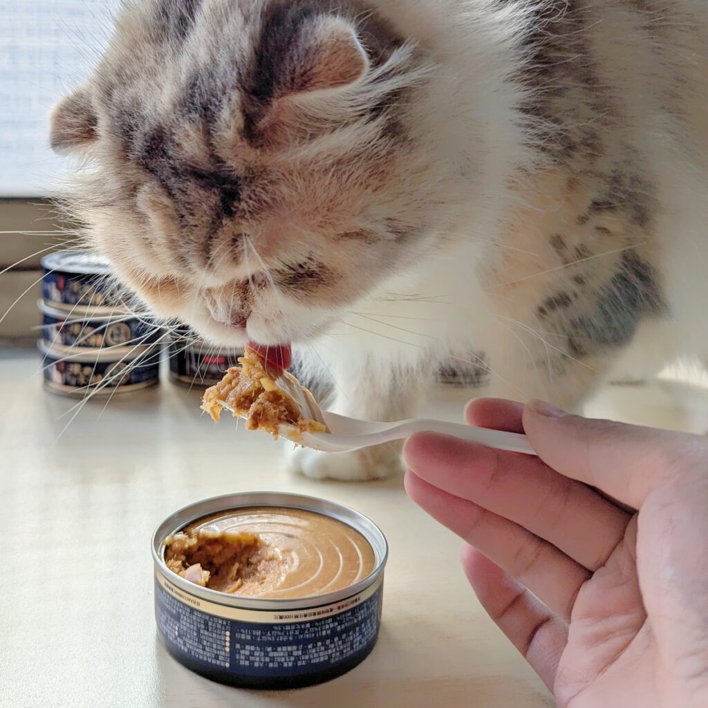 關健時刻&漢方食補、漢方食補主食罐、成貓主食罐心得、心血管養護、護眼養生、元氣養護、關節養生、皮毛養護-AG吃貨