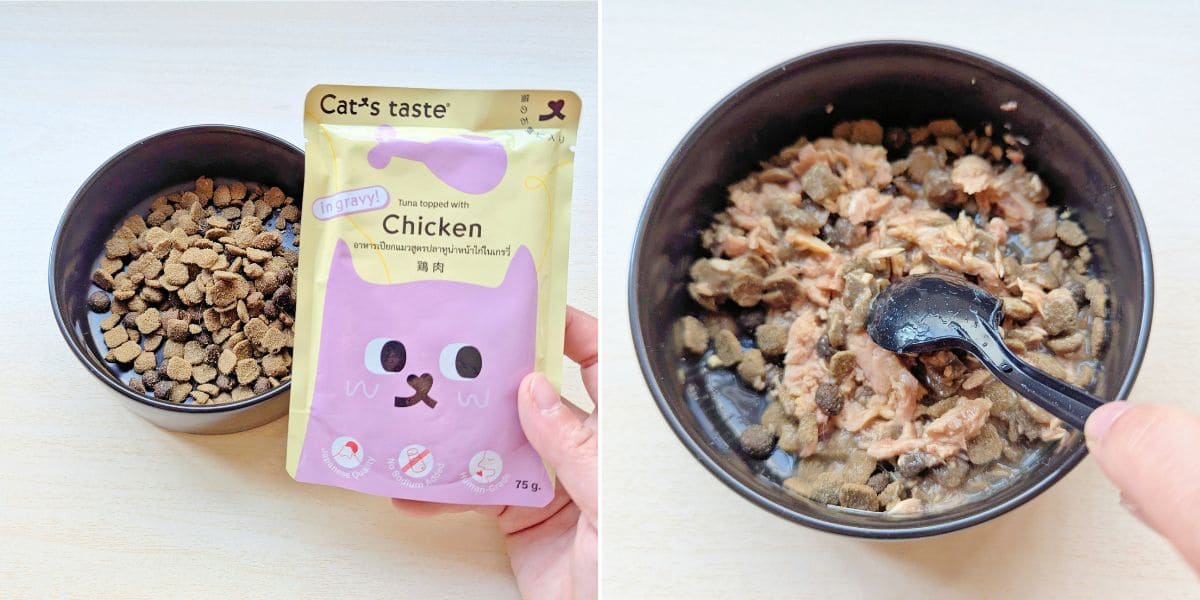 貓咪副食餐包開箱|Cat's taste貓可滋味|饗宴時光:Cat's taste 全齡綜合體驗組開箱分享-AG吃貨