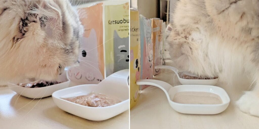 貓咪副食餐包開箱|Cat's taste貓可滋味|饗宴時光:Cat's taste 全齡綜合體驗組開箱分享-AG吃貨