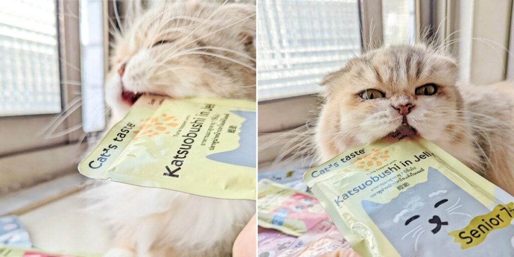 貓咪副食餐包開箱|Cat's taste貓可滋味|饗宴時光:Cat's taste 全齡綜合體驗組開箱分享-AG吃貨