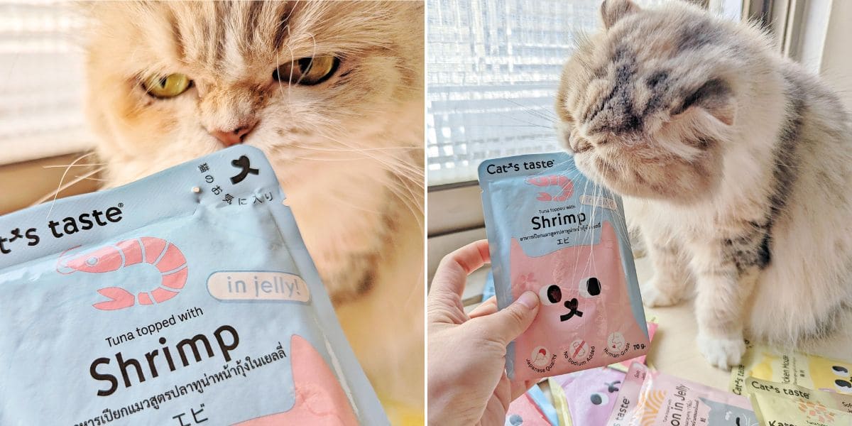 貓咪副食餐包開箱|Cat's taste貓可滋味|饗宴時光:Cat's taste 全齡綜合體驗組開箱分享-AG吃貨