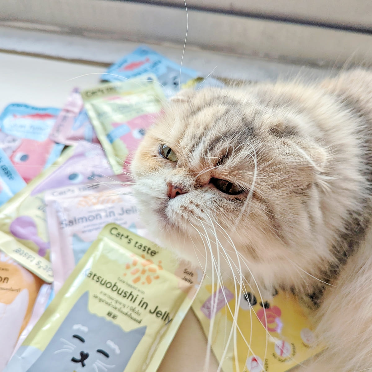 貓咪副食餐包開箱|Cat's taste貓可滋味|饗宴時光:Cat's taste 全齡綜合體驗組開箱分享-AG吃貨