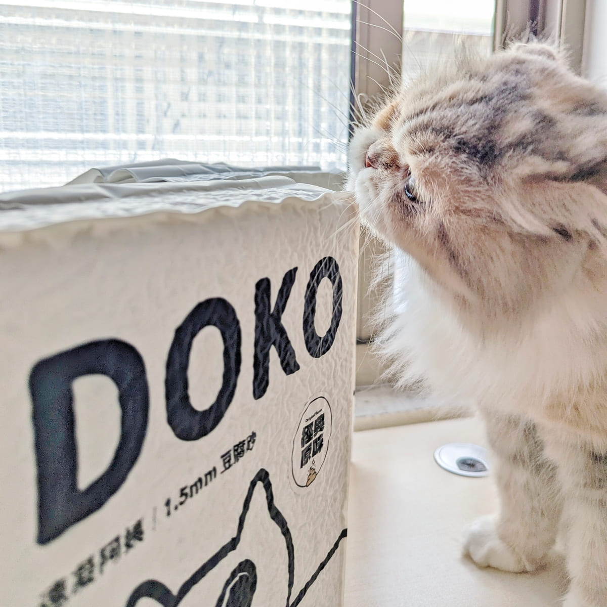 貓砂推薦｜DOKO速凝阿姨豆腐砂｜開箱評測：貓貓親身體驗的超值好選擇-ag吃貨