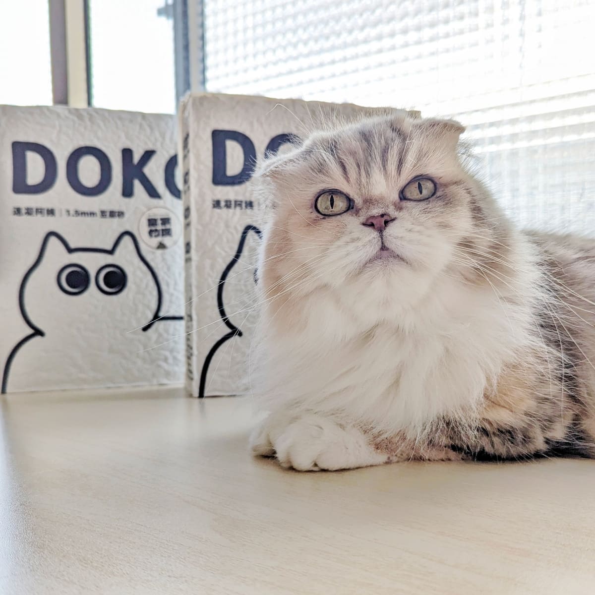 貓砂推薦｜DOKO速凝阿姨豆腐砂｜開箱評測：貓貓親身體驗的超值好選擇-ag吃貨