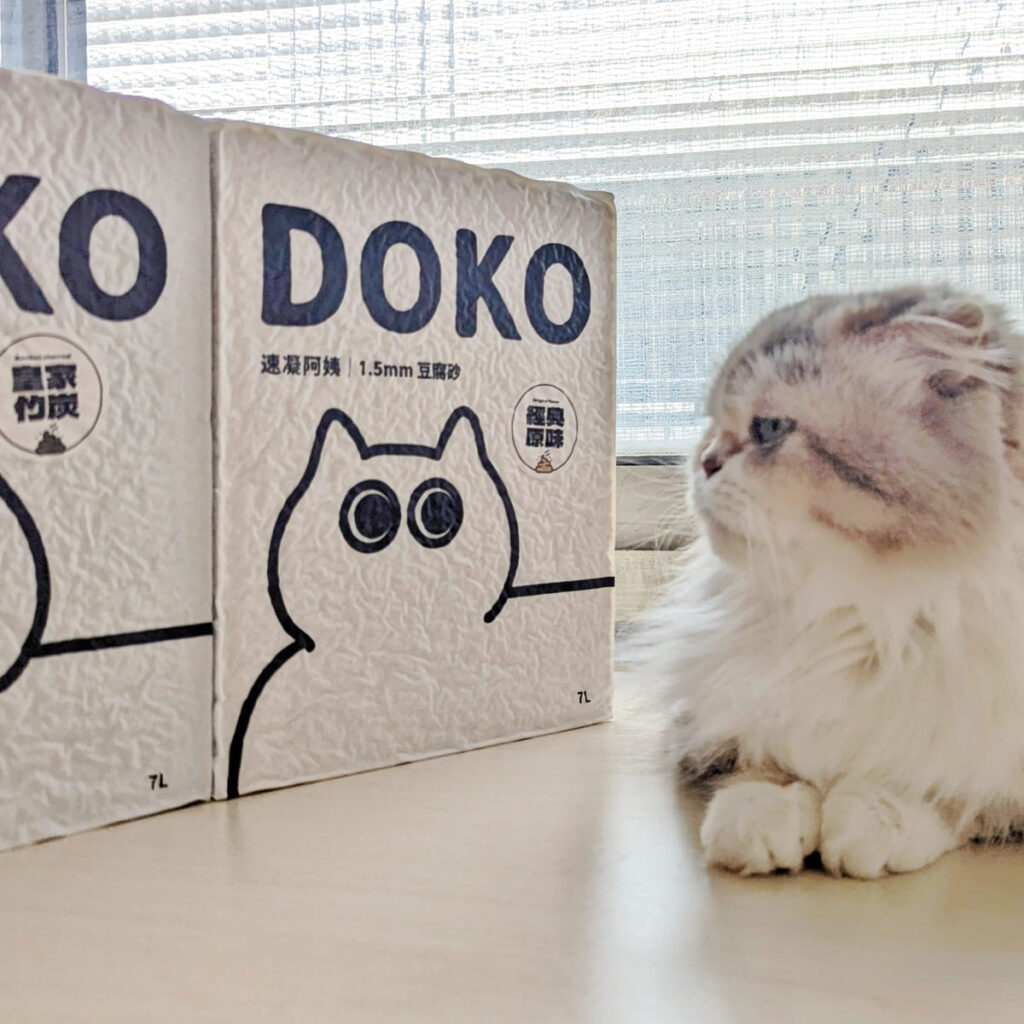 貓砂推薦｜DOKO速凝阿姨豆腐砂｜開箱評測：貓貓親身體驗的超值好選擇-ag吃貨