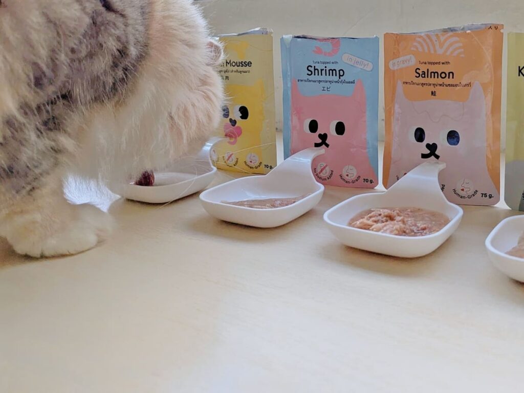 貓咪副食餐包開箱|Cat's taste貓可滋味|饗宴時光:Cat's taste 全齡綜合體驗組開箱分享-AG吃貨