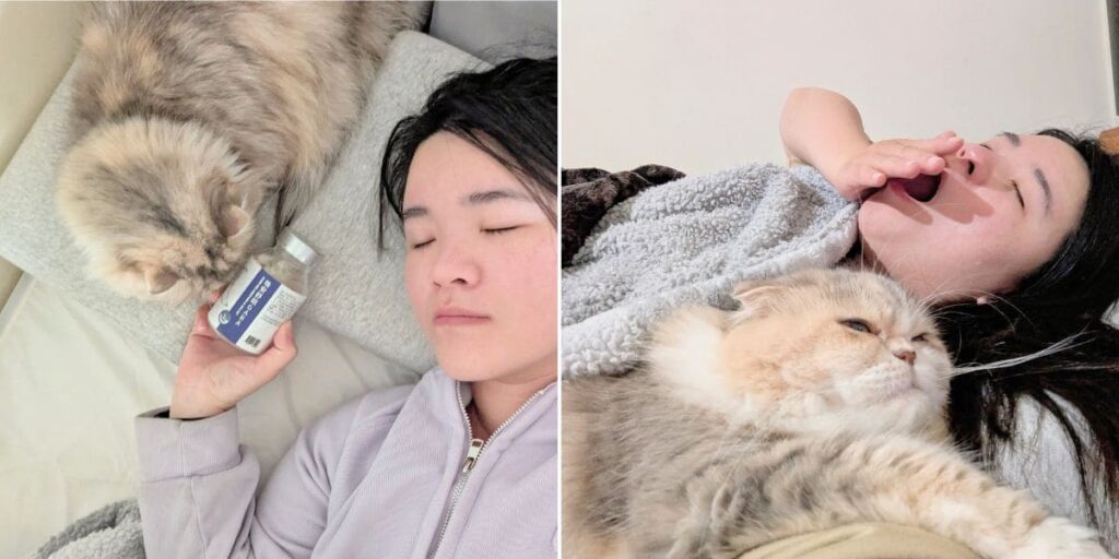 好眠保健品開箱｜DAYWEL日安專科｜釋放壓力、鬆弛狀態的好眠神器，就靠它「日安專科晚安舒眠GABA」-AG吃貨