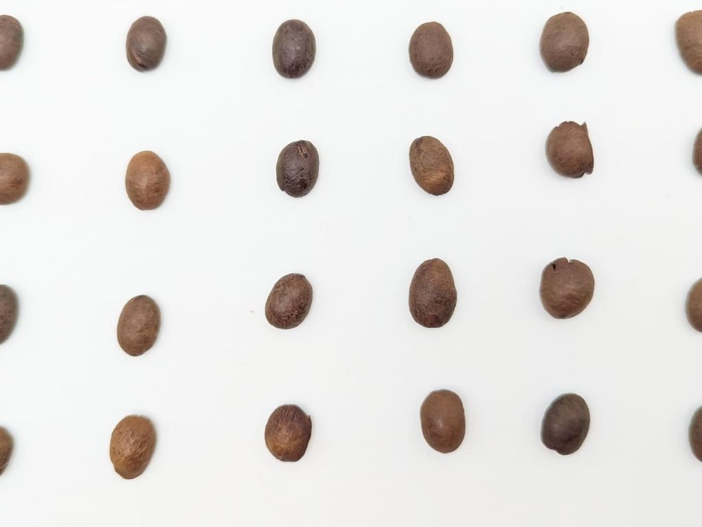 Coffee筆記｜全聯新品咖啡開箱｜CASA卡薩早餐咖啡豆實測！超香濃– 中深焙綜合配方豆，手沖、拿鐵都適合-AG吃貨