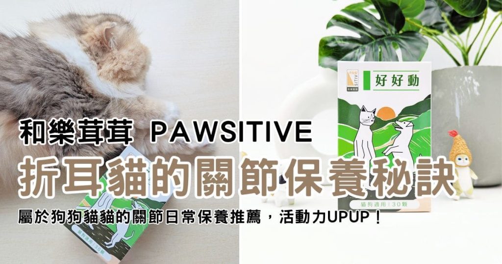 貓咪親測｜11歲折耳貓的關節保養秘訣！和樂茸茸 Pawsitive 好好動｜貓狗關節保健開箱-AG吃貨