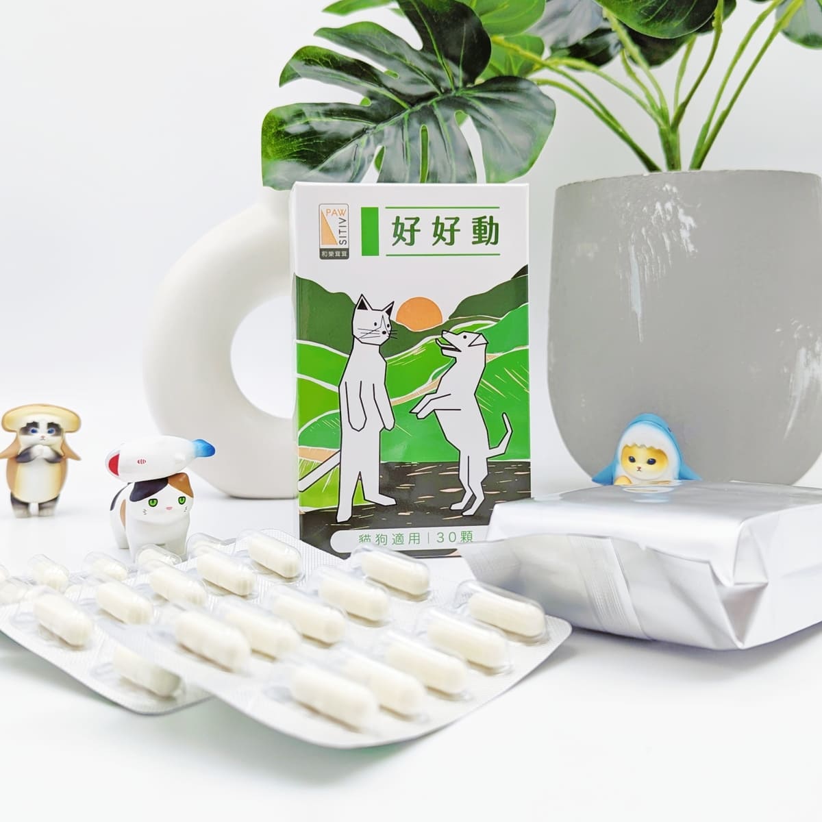 貓咪親測｜11歲折耳貓的關節保養秘訣！和樂茸茸 Pawsitive 好好動｜貓狗關節保健開箱-AG吃貨
