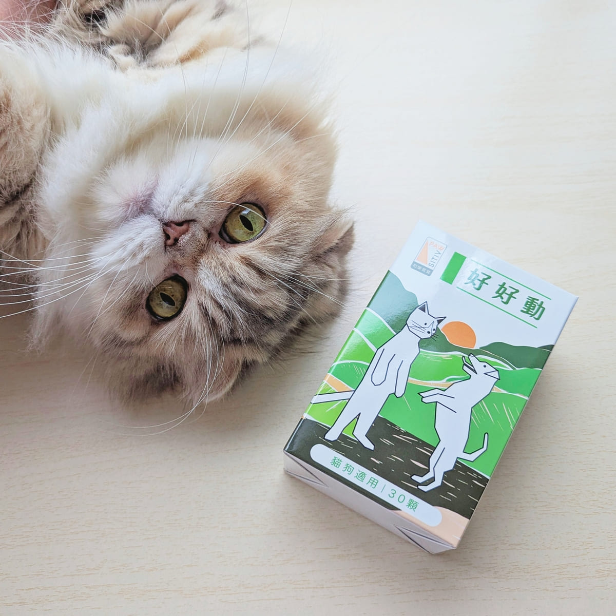 貓咪親測｜11歲折耳貓的關節保養秘訣！和樂茸茸 Pawsitive 好好動｜貓狗關節保健開箱-AG吃貨
