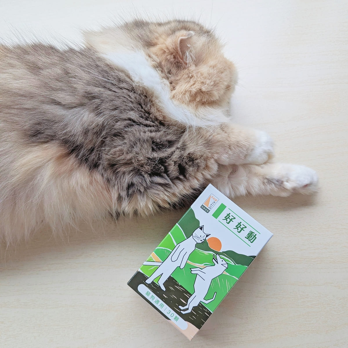 貓咪親測｜11歲折耳貓的關節保養秘訣！和樂茸茸 Pawsitive 好好動｜貓狗關節保健開箱-AG吃貨