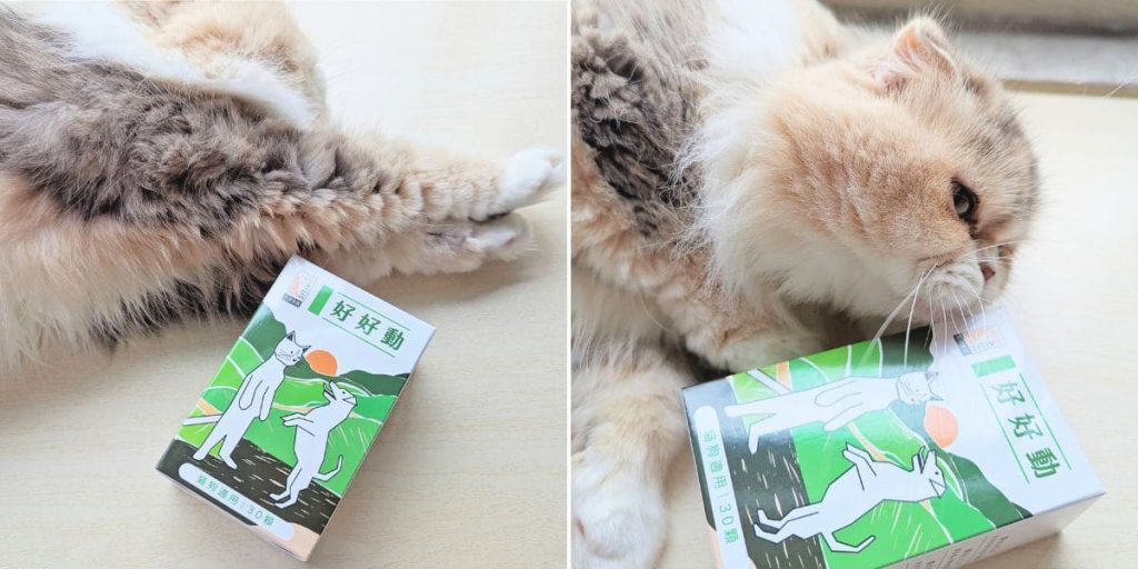 貓咪親測｜11歲折耳貓的關節保養秘訣！和樂茸茸 Pawsitive 好好動｜貓狗關節保健開箱-AG吃貨