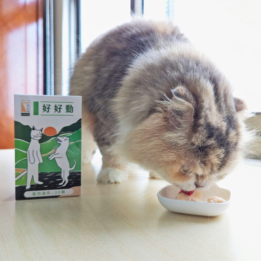 貓咪親測｜11歲折耳貓的關節保養秘訣！和樂茸茸 Pawsitive 好好動｜貓狗關節保健開箱-AG吃貨