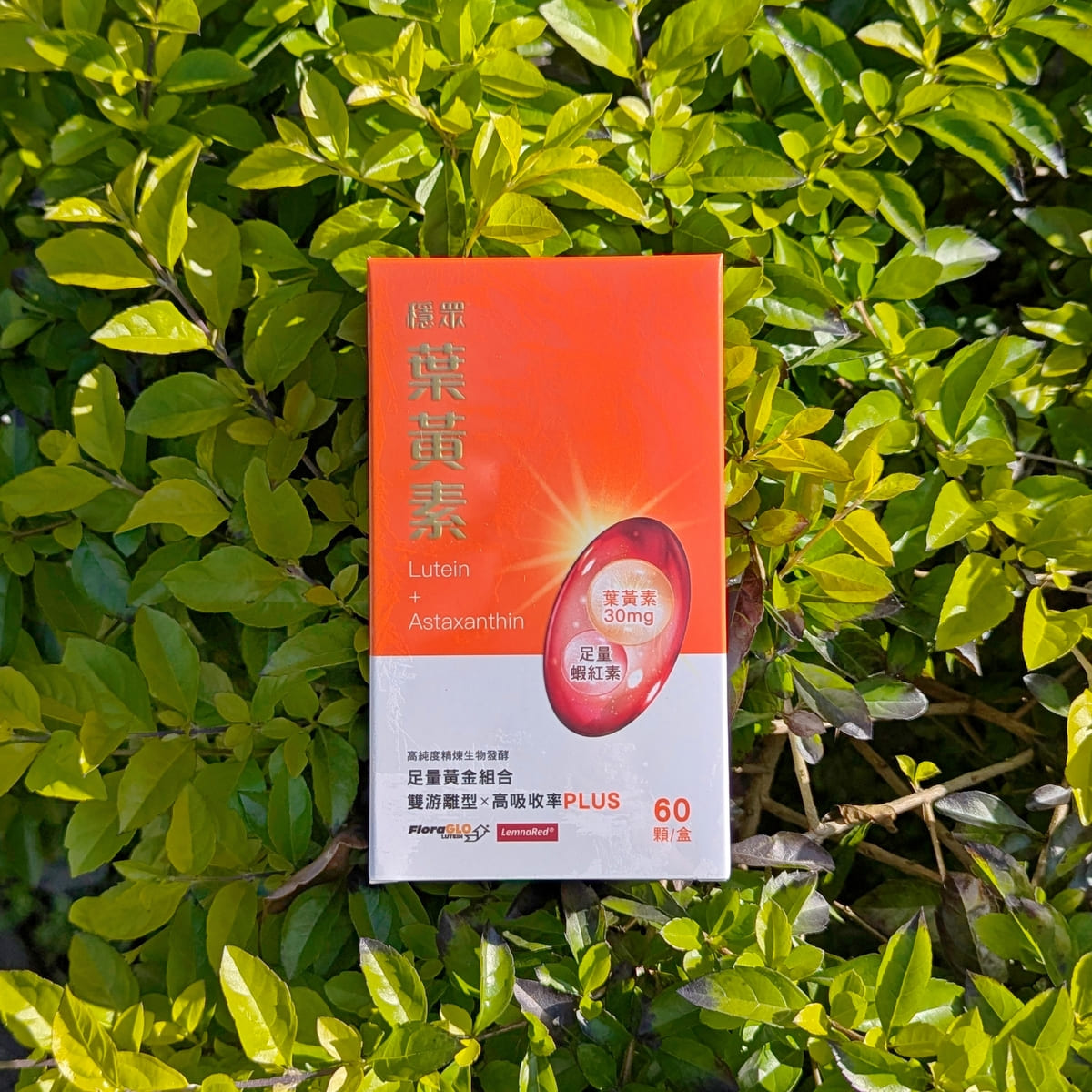 3C族日常補充首選｜穩眾｜晶亮守護就選 LemnaRed® 蝦紅素葉黃素軟膠囊，開箱體驗分享-AG吃貨