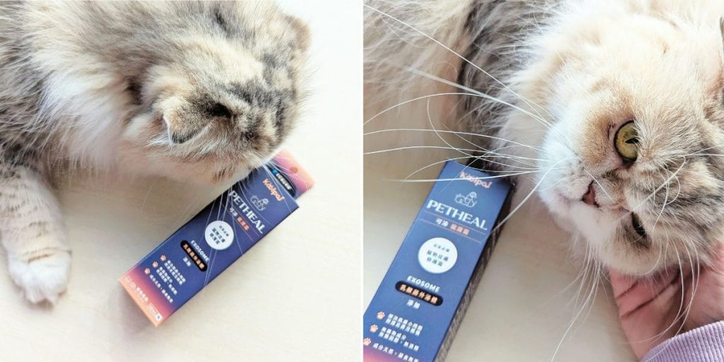 貓咪換季必備｜可沛寵護霜｜長毛貓換季皮屑到處飛、乾癢怎麼辦？11歲臭臉貓試用心得分享 -AG吃貨