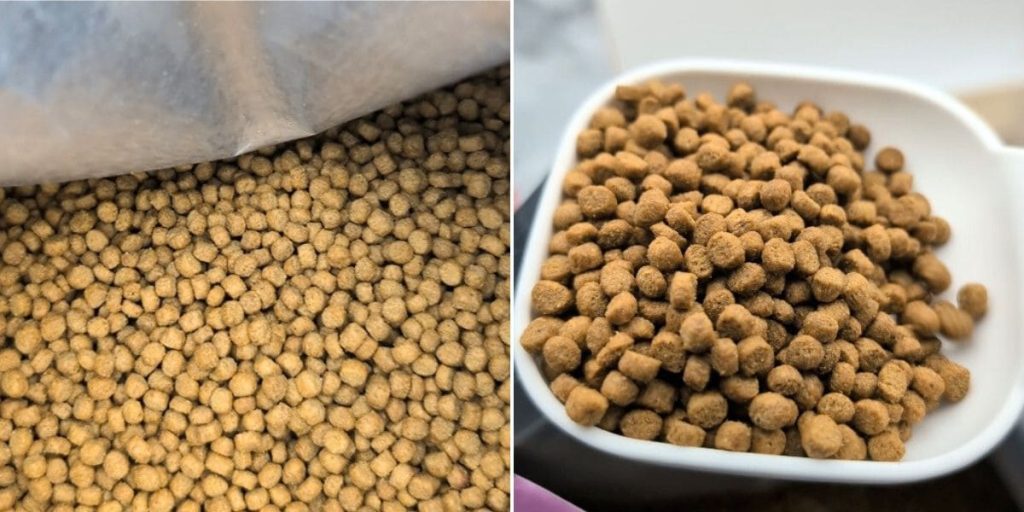 貓咪親測｜Petlife｜挑嘴貓的真愛貓飼料！MIT低敏機能優穀飼料開箱實測-AG吃貨