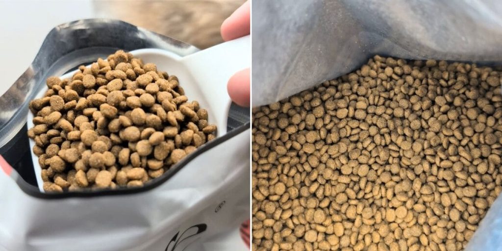 貓咪親測｜Petlife｜挑嘴貓的真愛貓飼料！MIT低敏機能優穀飼料開箱實測-AG吃貨