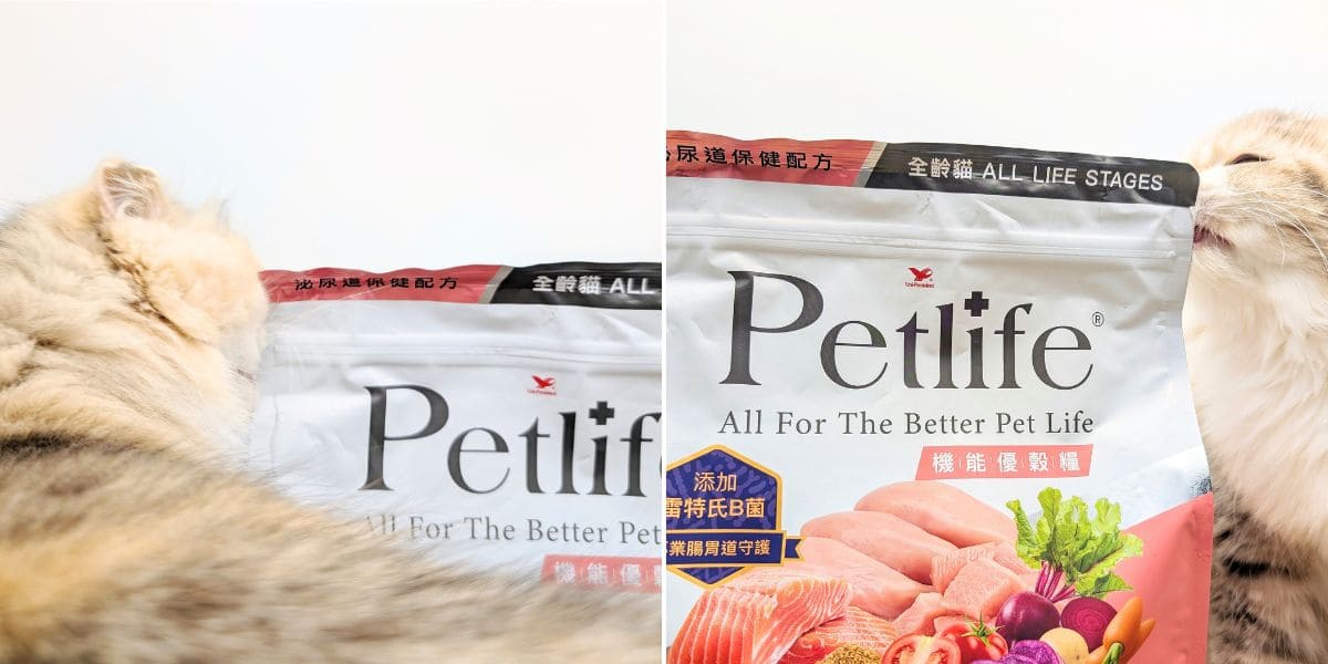 貓咪親測｜Petlife｜挑嘴貓的真愛貓飼料！MIT低敏機能優穀飼料開箱實測-AG吃貨