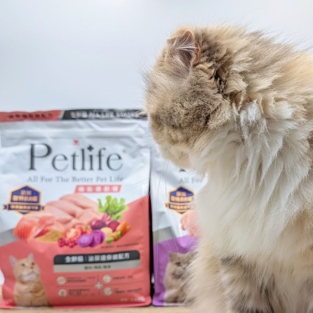 貓咪親測｜Petlife｜挑嘴貓的真愛貓飼料！MIT低敏機能優穀飼料開箱實測-AG吃貨