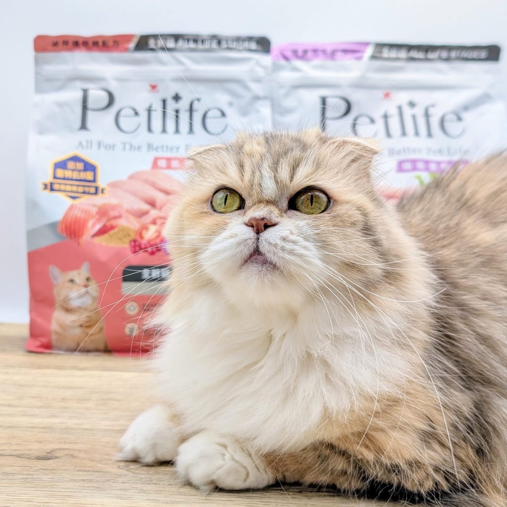 貓咪親測｜Petlife｜挑嘴貓的真愛貓飼料！MIT低敏機能優穀飼料開箱實測-AG吃貨