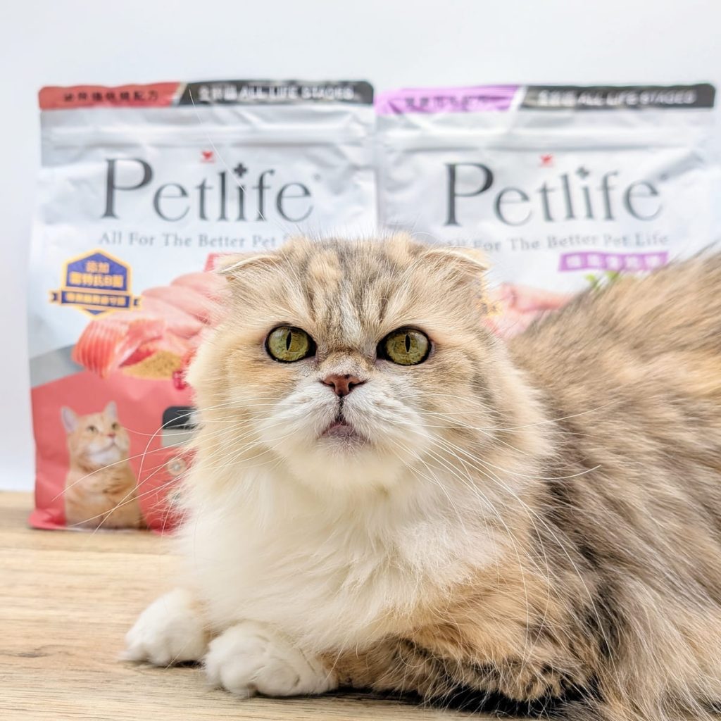 貓咪親測｜Petlife｜挑嘴貓的真愛貓飼料！MIT低敏機能優穀飼料開箱實測-AG吃貨