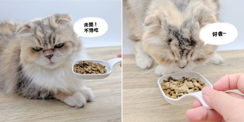 挑嘴貓開箱｜貓咪搶著吃的寵物營養品：珮慈星系 Pets Galaxy【超寵】寵物超級營養粉大公開-AG吃貨